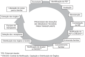 Image result for doação de órgãos