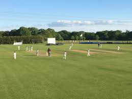 Image result for Bashley (Rydal) Cricket Club