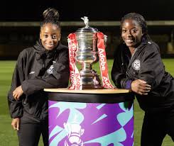 Image result for maiden Erlegh Subbuteo Club