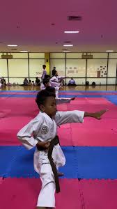 Image result for Kaizen No-Michi, Cleethorpes Karate Dojo