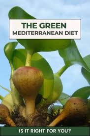 /MANKAI RED ZÖNE에 대한 이미지 검색결과