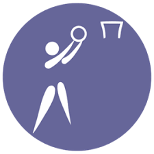 Image result for Icons Netball Club