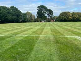 Image result for Hythe & Dibden Cricket Club