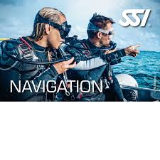 Image result for Looe Diving Club