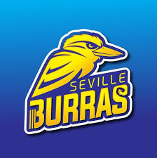 Image result for Bures and District Cricket Club