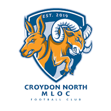 Image result for Croydon Football Club