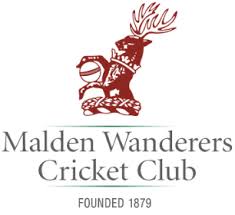 Image result for Carmarthen Wanderers Cricket Club