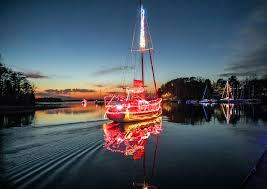 Image result for Harbour Lights Snorkelling Club (HLSC)