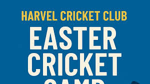 Image result for High Easter Cricket Club