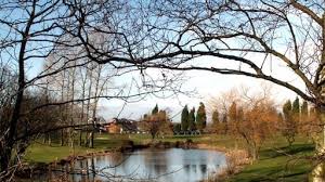 Image result for Silkstone Utd Cc