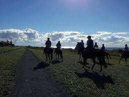 Image result for Abinger Forest Riding Club