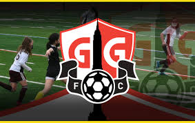 Image result for Gotham Soccer League