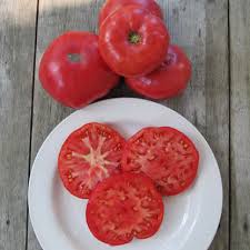 Afbeeldingsresultaat voor mortgage lifter bicolor strain tomato