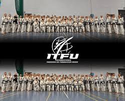 Image result for English International Allstyles Taekwon-Do