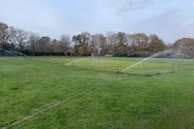 Image result for Grayshott Cricket Club