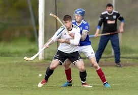 Image result for Lovat Shinty Club