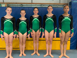 Image result for Sutton Gymnastics Academy