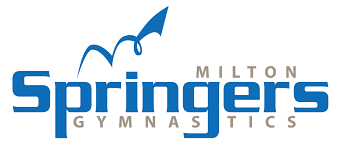 Image result for Mk Springers Gymnastics Club