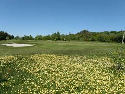Image result for Launceston Golf Club