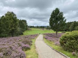 Image result for Abernethy Golf Club