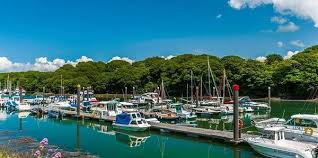 Image result for Neyland Yacht Club