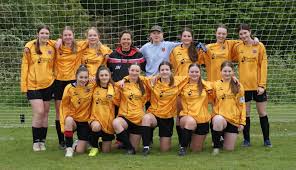 Image result for Droitwich Spa Boys & Girls Football Club