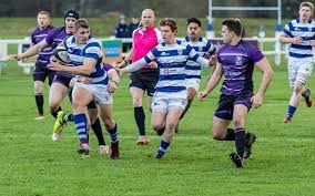 Image result for Tynedale Rfc