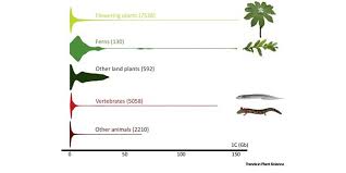 Image result for genome sizes
