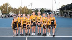 Image result for Newdigate Netball Club