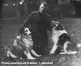 The Sunnybank Collies Index