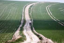 Image result for Staines Ramblers Group