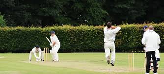 Image result for Highfield Cricket Club
