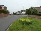Bedhampton Daffodils on Leap Year's Day (f). Taken from Scratchface Lane. - via Daymix