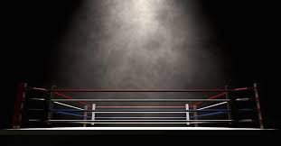 Image result for Uwe Boxing Club
