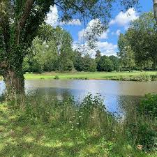 Image result for Downshire Golf Complex