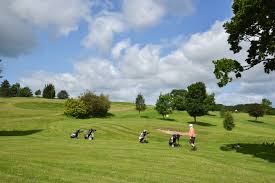Image result for Flint Golf Club