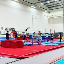 Image result for Hawth Gymnastics, Crawley