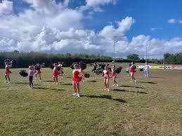 Image result for Castle Cary Cygnets Majorettes