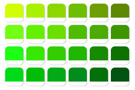 Znalezione obrazy dla zapytania green