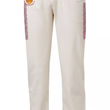 Image result for Brodsworth Main Cricket Club