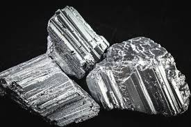 Attēlu rezultāti vaicājumam “Didymium minus”