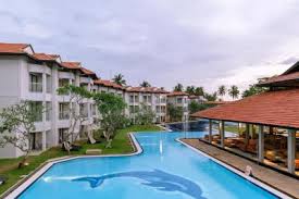 Image result for Dolphin Badminton Club