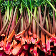 Attēlu rezultāti vaicājumam “Rheum rhabarbarum fruit”