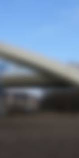 Image result for Elmbridge Road Runners