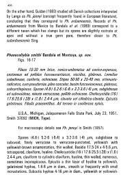 Attēlu rezultāti vaicājumam “Stemonitopsis subcaespitosa spores”