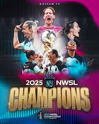 Image result for Gotham Soccer League