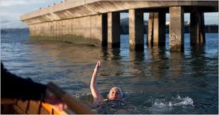 Image result for Grimsby Alexander Dolphins Swimming Club