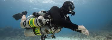 Image result for Headstream Divers