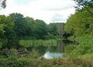 NO8588 : Pond at Ury Home Farm, Kincardineshire - via Daymix