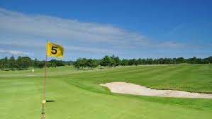 Image result for Carlow Golf Club